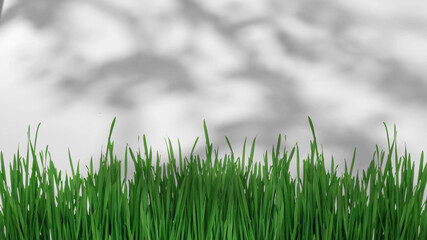 shadow of the trees gently swaying in the breeze, on a white background with a wooden table.