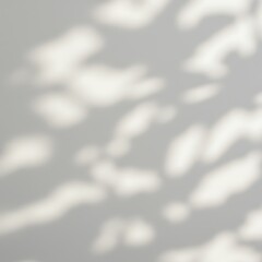 光と影の戯れ