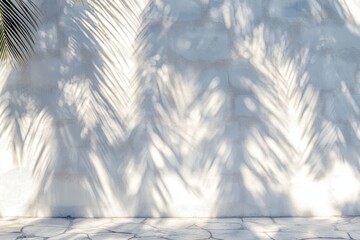Soft shadows of palm leaves cast on a textured white wall above stone pavement creating a calm and serene outdoor scene