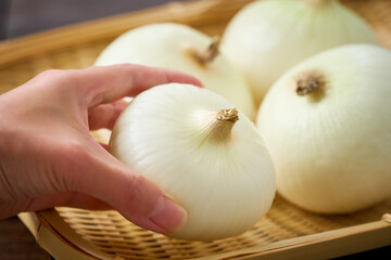 新玉ねぎ（新鮮な春野菜）