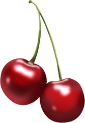 체리 일러스트 : Cherry Illustration