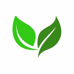 green leaves icon, illustration of green leaves icon, leaf ecology icon, green leaf, icon of green leaf 