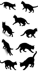 Fototapeta premium Feline Shadows: A Dance of Nine AI Generated