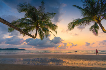 Fototapeta premium landscape with sea sunset on beach 