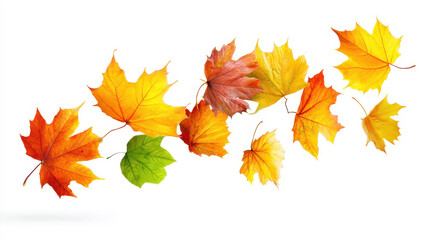 Colorful autumn leaves floating on a white background