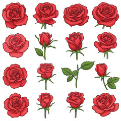 Fototapeta premium This beautifully crafted vector illustration features an elegant rose flower, showcasing intricate petal details and a timeless design. The image highlights the delicate curves and textures of the ros