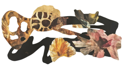 Organic shapes in collage layered composition, cut out transparent