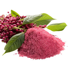 Fototapeta premium Berries and pink powder isolated on transparent background, png