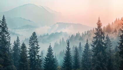 Obraz premium a serene landscape of evergreen forests nestled among misty mountains under a soft pastel sky.