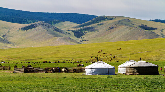 Mongolian Yurt and Camp of nomadic people