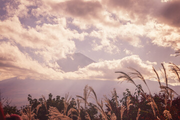 Mount Fuji partially hidden by clouds with soft golden light and a film photography effect creating a nostalgic vintage atmosphere with warm pastel tones