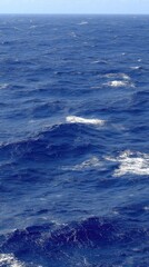 Fototapeta premium Peaceful Ocean Tranquil Water Under Clear Sky