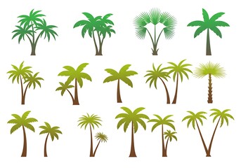 Fototapeta premium Palm Paradise: A Verdant Collection AI Generated