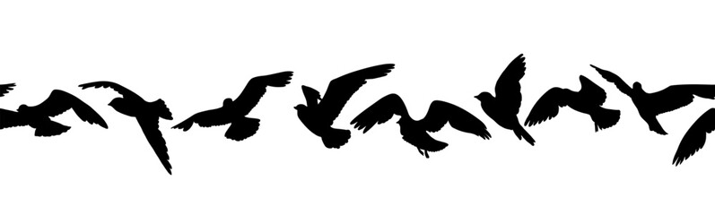 Seamless border of flying birds silhouette. Birds in Motion. Flock of birds black silhouette isolated on white background