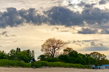 Beach with a view of trees and a small shelter at sunset. Scenic landscape with dramatic sky and...