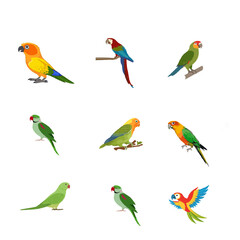 parrot vector image. Parrot Vector Art, Icons, and Graphics for Free Download