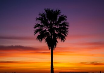 Twilight Palm Silhouette AI Generated