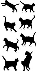 Feline Shadow Dance AI Generated