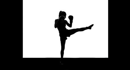 Shadow Boxer's Grace AI Generated