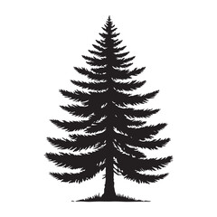 Black Silhouette of a Evergreen Tree Vector Illustration Stock