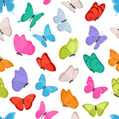 Seamless pattern of colorful flying butterflies. Summer insect vector on white background
