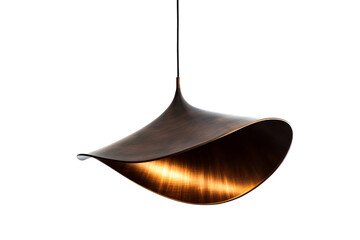 Hanging bronze pendant lamp, modern interior lighting, cut out transparent