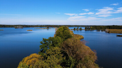 trees in water view from above lake