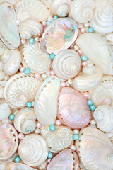 Seashells and oyster pearl background with mother of pearl abalone, troca and turbo snails....