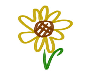 yellow flower isolated on white