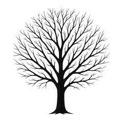 Obraz premium tree silhouette isolated on white