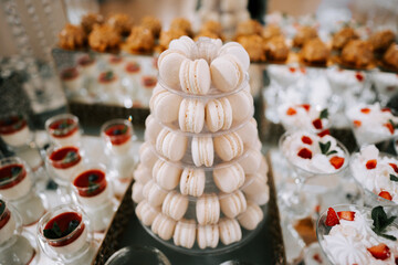 Elegant dessert display featuring assorted treats at a festive celebration gathering