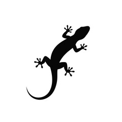 Black lizard silhouette isolated on white background. Lizard icon vector illustration design.