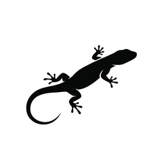 Black lizard silhouette isolated on white background. Lizard icon vector illustration design.