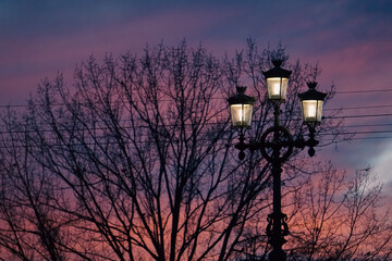 View of street lamp and bare tree against sunset