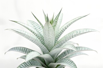 Would you like it shorter or more descriptive?