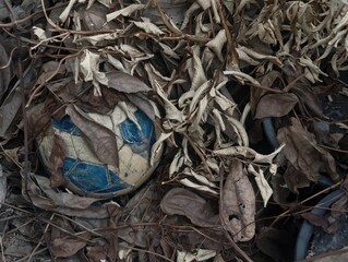 Old and Worn Soccer Ball Hidden Among Dry Leaves and Twigs in Abandoned Outdoor Space