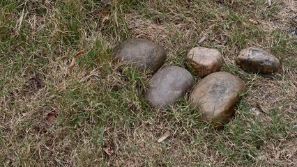Rock Formation on Grass with Natural Textures and Colors in a Tranquil Outdoor Setting