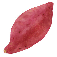 リアルなさつまいも・焼き芋1本水彩風