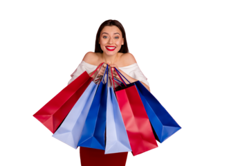 Portrait of lovely cheerful person holding bags looking dressed blouse pencil-skirt isolated over red background