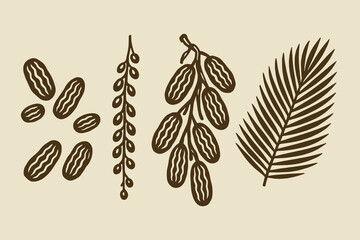 date palm fruit sketch vector illustration set