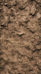 Brown soil, textured surface, uneven ground.