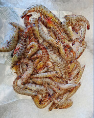 mazzancolle fresche sul bancone di una pescheria