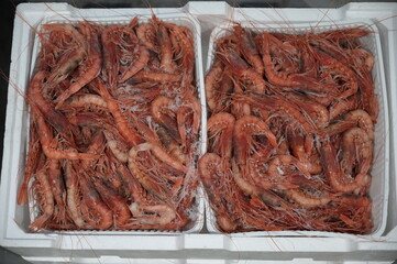 gamberi freschi surgelati in una pescheria