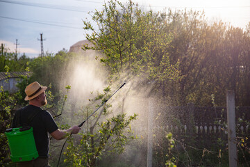Farmer spraying fertilizer.  Pest control and plant diseases to obtain a large harvest