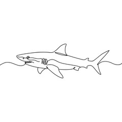 Outline of the profile of a shark in one line