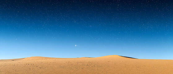 Desert Landscape Under Starry Night Sky