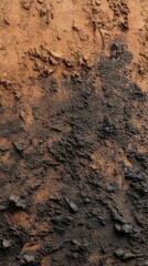 Fototapeta premium Brown and black powder, textured surface, blended shades.