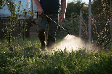 Farmer spraying fertilizer.  Pest control and plant diseases to obtain a large harvest