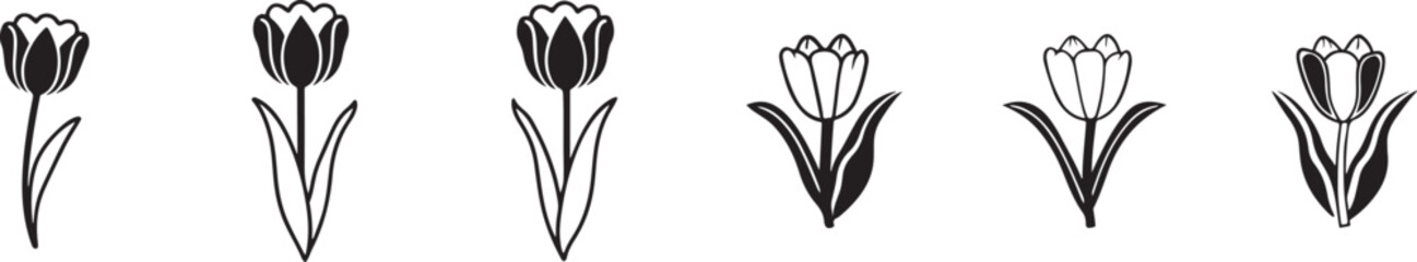 Obraz premium Tulip Flower Illustration Set. Tulip Botanical Drawing Collection.