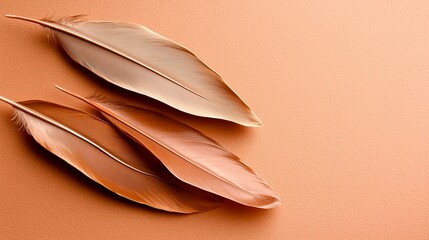 Elegant Copper Feathers on Warm Earthy Background for Design